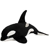 Amazon.co.jp: カロラータ シャチ ぬいぐるみ (24×17×35cm) やさしい