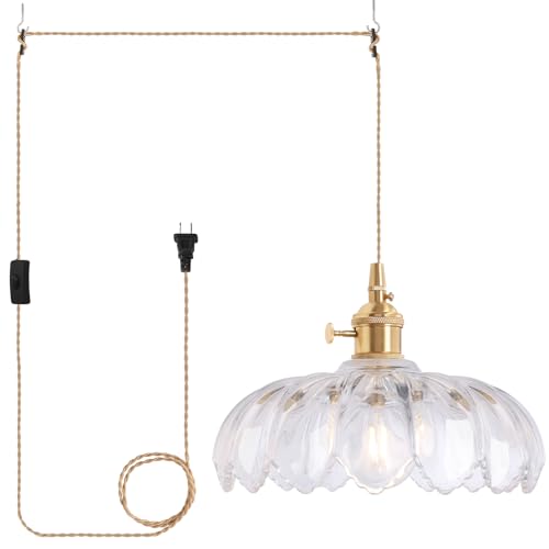 Image of Shenmoyl Plug in Pendant Light Hanging Light Fixtures with Plugin Cord On /Off Switch,Clear Scindapsus Glass Lampshade Brass Pendant Light