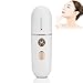 Nebulizzatore per il viso con ricarica USB - Nano Mist per vaporizzatore facciale - Umidificatore portatile idratante per il viso Nano Steamer per il viso - Spruzzatore nano per il viso da 12 ml