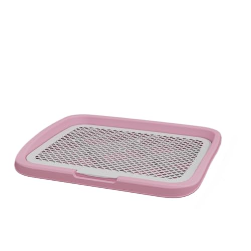 OGXN ^gC bVybggC tFXt O\ ێ ^ ^ ^p p (M-sN)