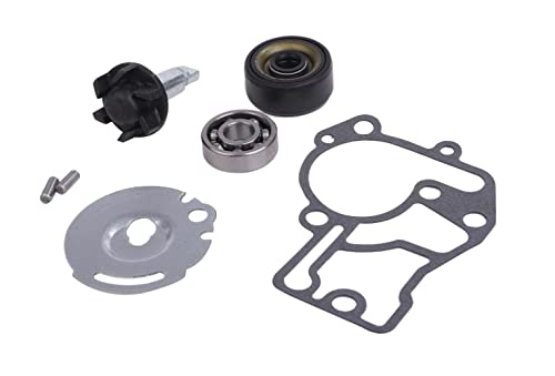 }n p EH[^[ |v C C Lbg Cy[ Vtg IC V[ xAO VINO r[m CX50 CX50R VOX50 EVO2  eiX p[c pi (Zbg)