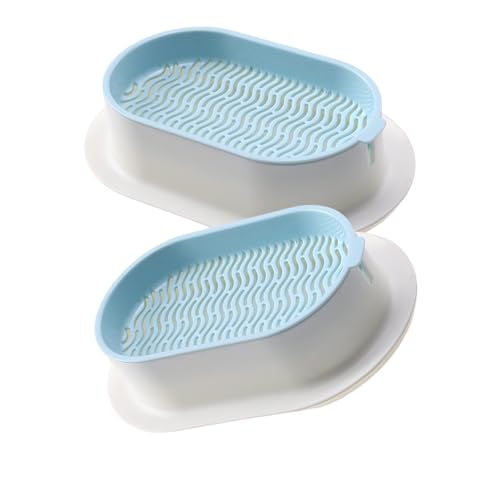 Qsvbeeqj 2 pezzi di erba per gatti interni, kit organico mix terra gatti fioriere di controllo naturale regali grandi vasi di capacità piante