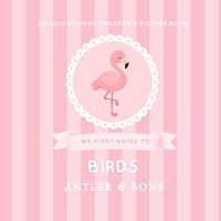 My First Guide to Birds: Birds for Kids Ages 2-8, Educational Animal Picture Book Featuring 30 Beautiful Birds, Nature Facts, Wildlife Learning & ... Illustrations (My First Guide Series) 1966417535 Book Cover