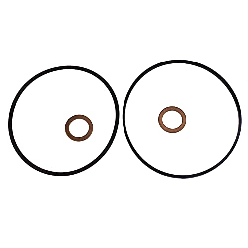 Rejog4 Auto, 11361748819 APTO PARA E36, E34, E39, E38, Z3 KIT DE REPARACIÓN DE SELLO DE VANOS SIMPLE (TEFLON + VITON) 1993-1999 2.0 2.3 2.5 2.8