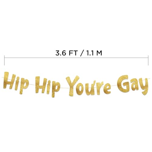 Image of Pre-Strung Hip Hip You're Gay Gold Glitter Banner - Birthday and Anniversary Decorations - Party Supplies and Gifts