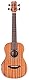 Mini II BASS MH-E