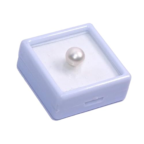 kirti sales South Sea Pearl Gemstone 14.50 Carat Original Certified Natural with Lab Certified Card Pearl Stone Original moti Stone Original Certified Pearl Stone Original-picture-32