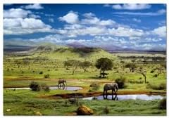 Educa Tsavo National Park, Kenya 500 piece puzzle