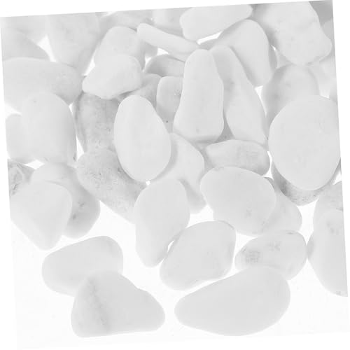Galets blancs pour pots de fleurs et terrasses minérales - 3
