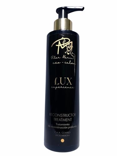 RECONTRUCTOR MASK LUX EXPERIENCE- tratamiento reconstructor del cabello | 250 ml| Restaura y nutre el cabello | Apto para todo tipo de cabello | Recomendado por profesionales y estilistas del cabello