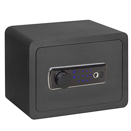 Top 10 Best Biometric Home Safes in January 2023