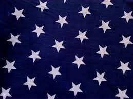 Navy Blue Stars Polka Oil Cloth Wipe Clean Tablecloth Vinyl 2 Meters by by CAVOLI BRAND
