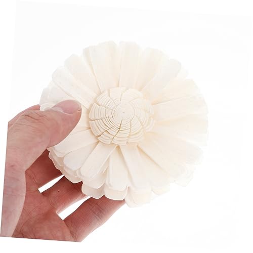 HOMSFOU 4pcs Difusor de Flores Secas Natural miniatura 5