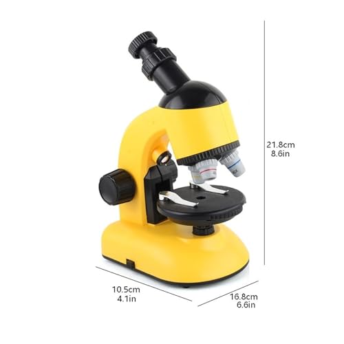 View 3