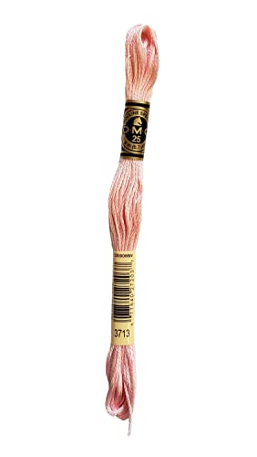 Image of DMC 6-Strand Embroidery Cotton Bundle - Salmon Color Family - 6 Skeins of Thread - 8.7yd Skeins