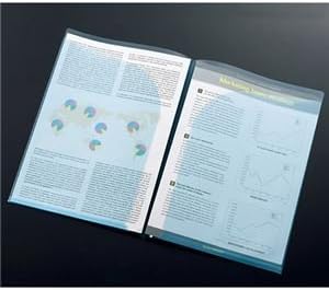 （まとめ） TANOSEE クリアホルダーダブルポケット A4 ピンク 1パック（10枚） 【&times;10セット】 ds-1579469
