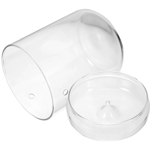 BESPORTBLE Vase Terrarium Verre Transparent pour -Paysage Décoration De Bureau Et Maison Conteneur Multifonctionnel pour Plantes Et Fleurs pour Intérieur Et Extérieur