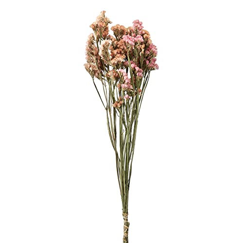 東京堂 ドライフラワー スターチス アプリコット 約L50㎝ FD003034-012 - 東京堂(Tokyodo) - 商品画像