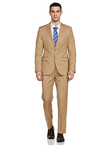 Image of Raymond Men Suit