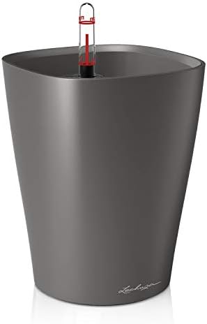 Lechuza 14903 Deltini Self-Watering Planter for Indoor and Outdoor Use, 6" x 6" x 8", Charcoal