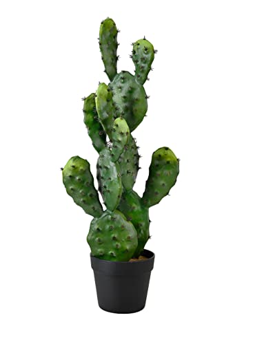 Serene Spaces Living Artificial Prickly Pear Cactus in Plastic Black Pot, Lifelike Potted Bunny Ear Cactus for Balcony, Living Room, Kitchen, Office, Patio, Entranceway, 11