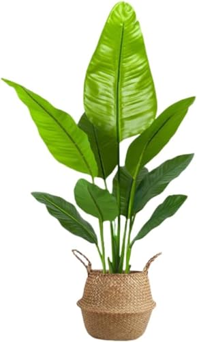 Zxyler lHϗtA G} CeAp ͂Ȃ ^[O[ Aؔ ϏܗptFCNA (120cm V~[Vgx[oii Aȗtρy҂݂tz)