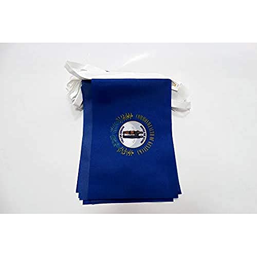 Image of AZ FLAG Kentucky 6 meters BUNTING Flag 20 flags 9'' x 6'' - US state of Kentucky STRING flags 15 x 21 cm