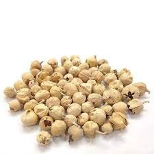 Trh paneer dodi paneer doda withania coagulans - ayurve…