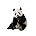 Giant Panda