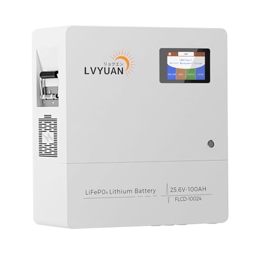 LVYUAN 100Ah 25.6V リン酸鉄リチウムイオンバッテリー BMS画面一体型 2.56kWh LiFePO4 家庭用蓄電池 充放電サイクル4000回以上 ソーラーシステム オフグリッド キャンピングカー ソーラー発電 緊急電源などに最適 (FL