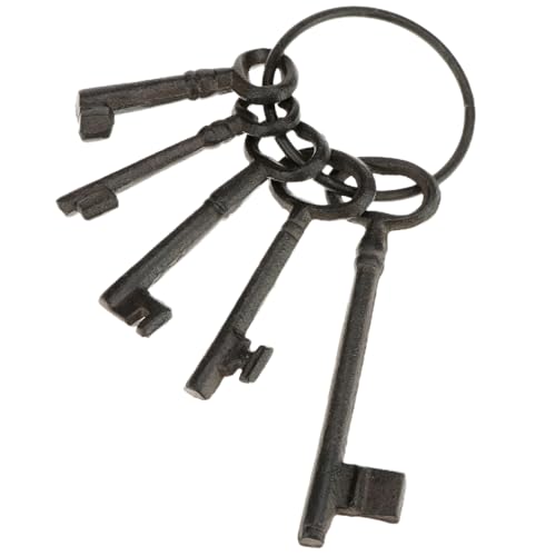 QWORK 8" Vintage Cast Iron Skeleton Key Ring Set -
