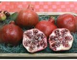 Fresh Pomegranates - Medium to Large Size [Set of 3]