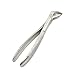 LAJA IMPORTS EXTRACTING Forceps 73 Lower MOLARS Universal.