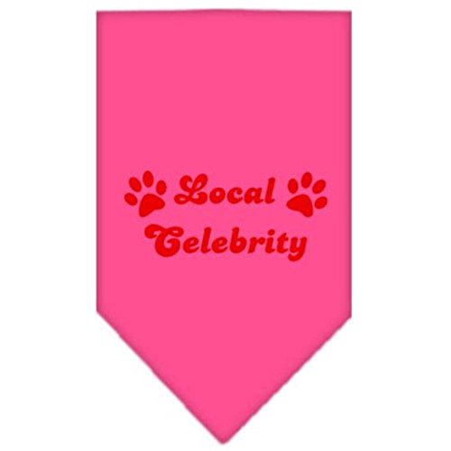 Mirage Pet Products 66-48 LGBPK Local Celebrity Screen Print Bandana Bright Pink Large