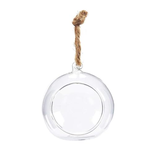 Vase écologique en verre à suspendre 6/8/10/12/15 cm - Vase écologique transparent pour plantes succulentes (10 cm)