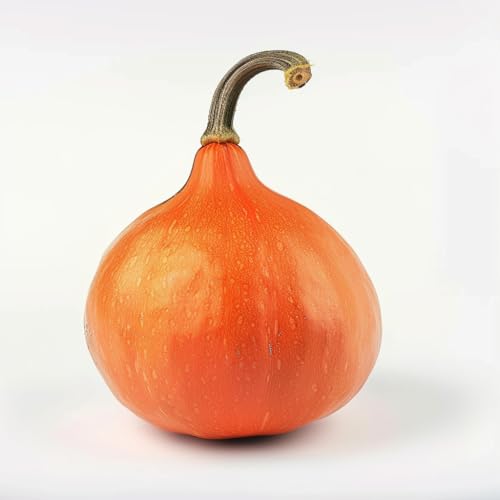 15 Semillas de Calabaza - SemiSauvage Permaculture