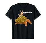 Lustiges Schildkröten Schnecken X Geschwindigkeit