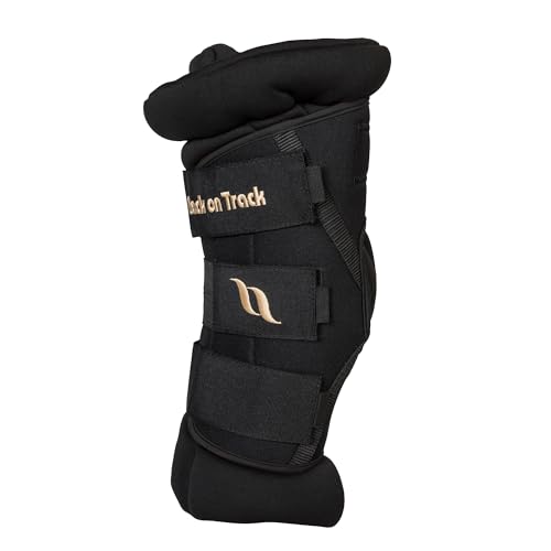 Back on Track Royal Sprunggelenkschoner Deluxe schwarz oder blau (L, schwarz)