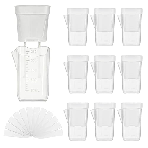 Blumentopf - Vaso per piante semi idro autoirrigante, trasparente, per talee e piantine, ideale per interni e balconi, facile da pulire