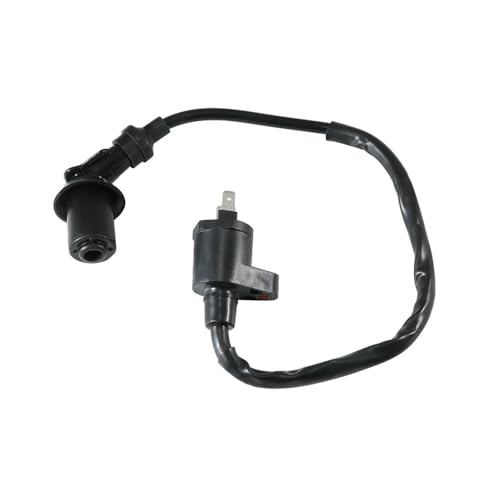 Bobine d'allumage Haute Tension 170 90 200 pour motoculteur et moteur thermique - 2