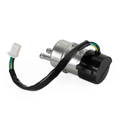Bomba de combustible para NSS 250 Reflex y FES Foresight 6