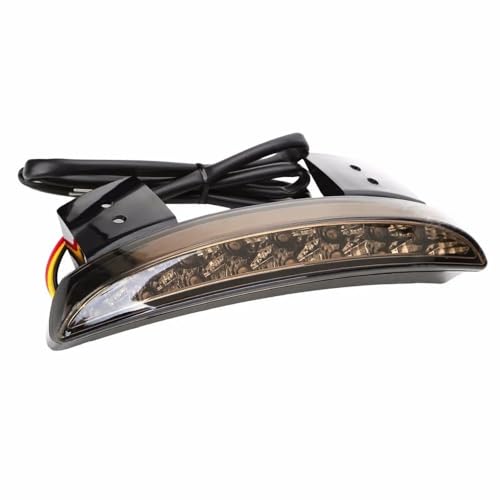 Luz trasera de motocicleta soluciona fallos de freno en Touring y Sportster 1200