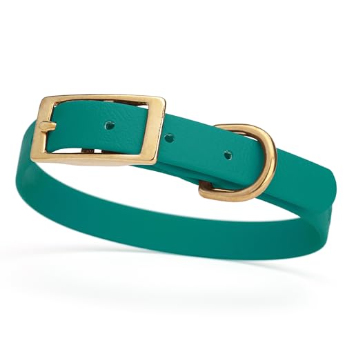 Image of Viper Biothane Heavy Duty Waterproof Dog Collar Strong Coated Nylon Webbing w /Solid Brass Hardware Odor-Proof Easy to Clean High Performance Fits Small Medium or Large Dogs, Blue Aqua