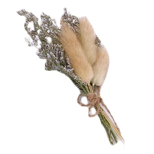 Pissente 12 piezas ramos secos pequeños decorativos miniatura 7