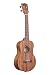 Kala KA-TEAK-T Teak Tenor Ukulele