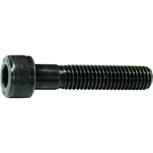 �R�m�G(Konoe) �Z�p���t�{���g ���˂� M6x90 100�{�� CS-0690