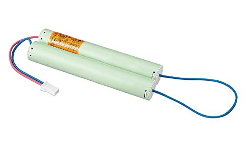 ���Ń��C�e�b�N ��C�p�o�b�e���[ FK867B