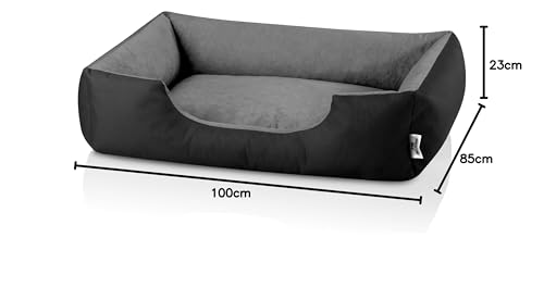 BedDog Hundebett XL - Hundekissen - Hundekorb - Hundecouch - Hundesofa - Bezug abziehbar, Waschbar, für Mittel-Große Hunde