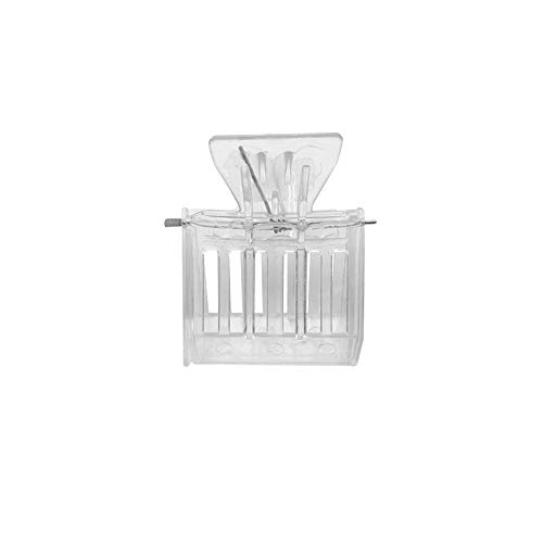 Matériel d'apiculture Clip apiculture, équipement d'apiculture, espace d'isolation, boîte d'insectes, outils Queen Cage Colorless Plastic Clip Bee Clip Cover