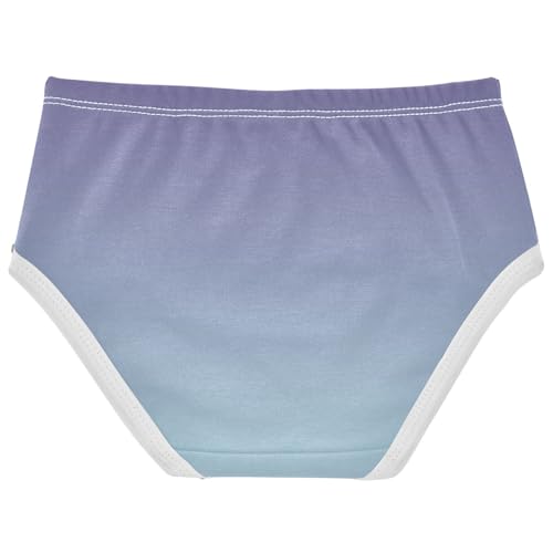 Joisal Durable Toddler Underwear Floral 2t Cotton Girl Panties Cute Violet Powder Blue Gradient Briefs Underpants2